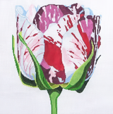 Needlepoint Handpainted Jean Smith Regal Painted Rose 15x15