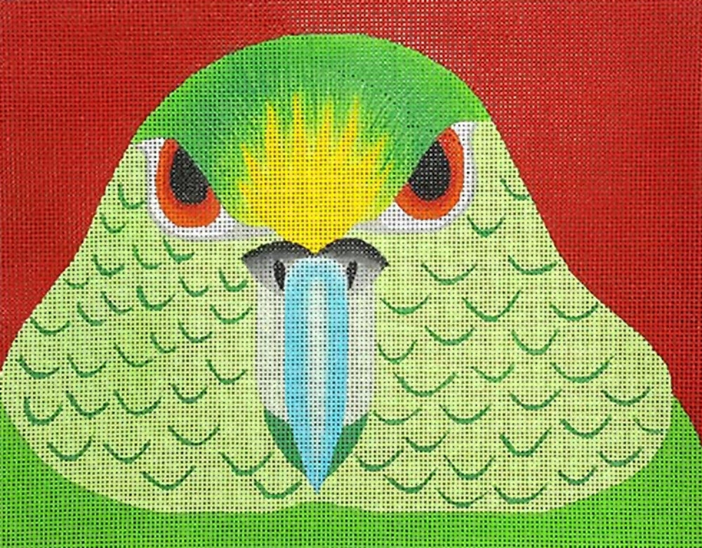Needlepoint Handpainted Zecca Parakeet aka African Parrot 9x7 – CL