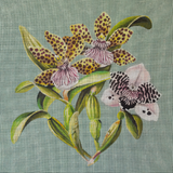 Needlepoint Handpainted Colors of Praise Speckled Orchid 18x18
