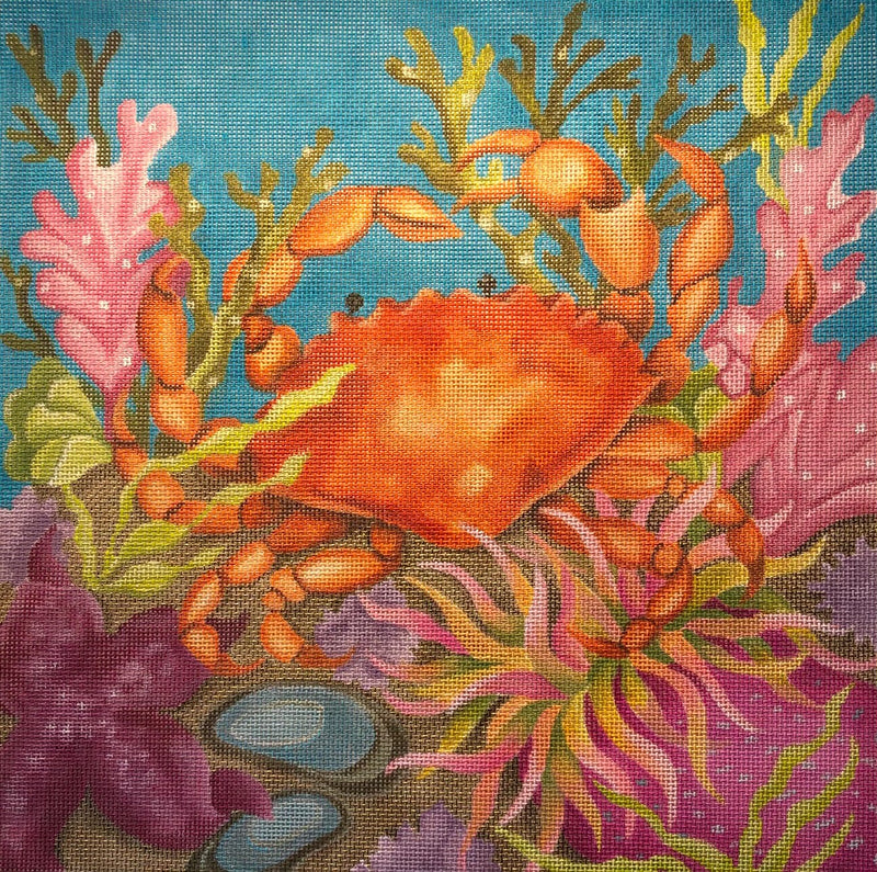 Needlepoint Handpainted Amanda Lawford Coral Reef Crab 11x11