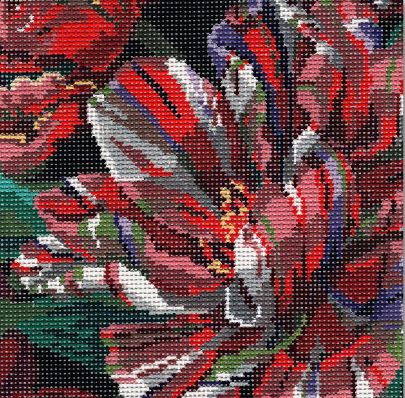Needlepoint Handpainted CBK Parrot Tulip Small 7x7